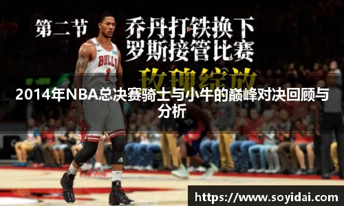 2014年NBA总决赛骑士与小牛的巅峰对决回顾与分析